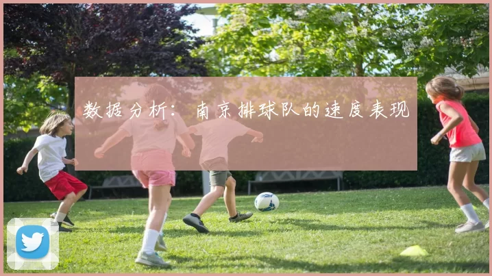 数据分析：南京排球队的速度表现