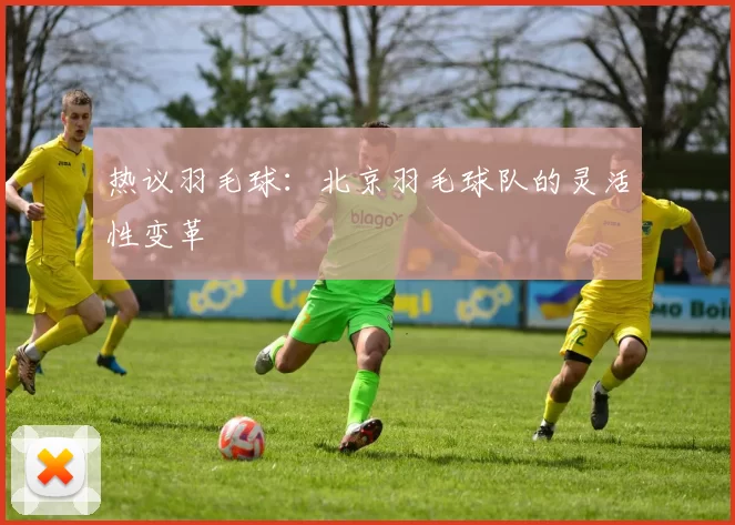 热议羽毛球：北京羽毛球队的灵活性变革