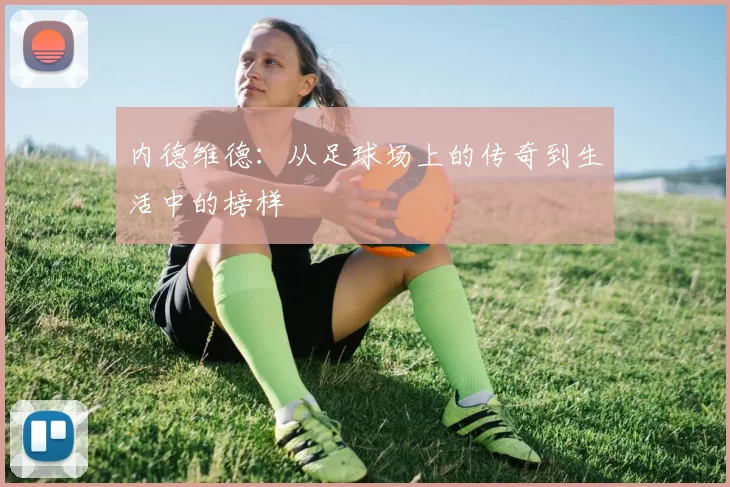 内德维德：从足球场上的传奇到生活中的榜样