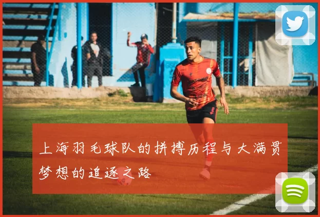 上海羽毛球队的拼搏历程与大满贯梦想的追逐之路