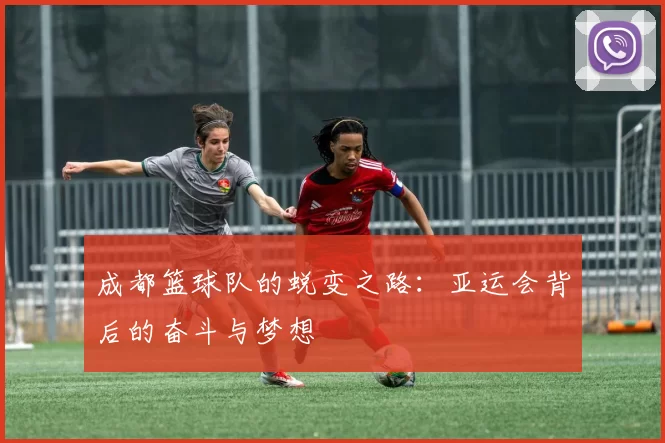 成都篮球队的蜕变之路：亚运会背后的奋斗与梦想