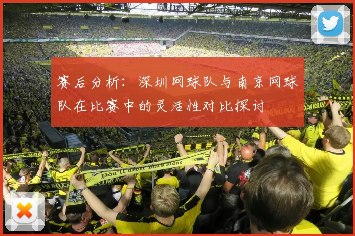 赛后分析：深圳网球队与南京网球队在比赛中的灵活性对比探讨