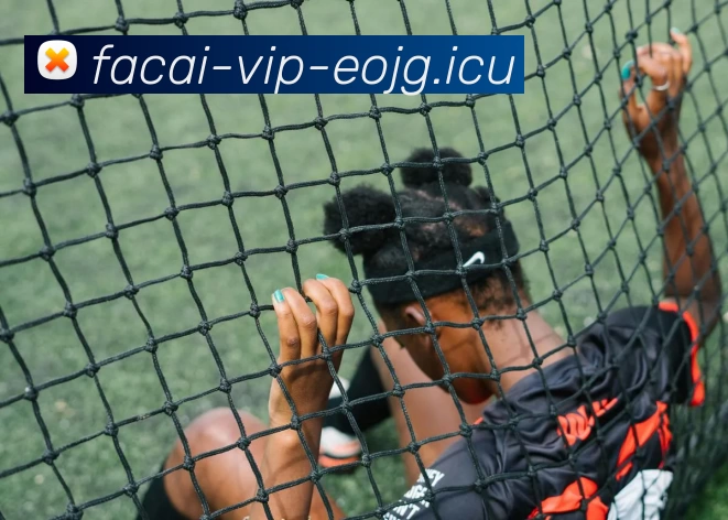 九游体育平台生态图