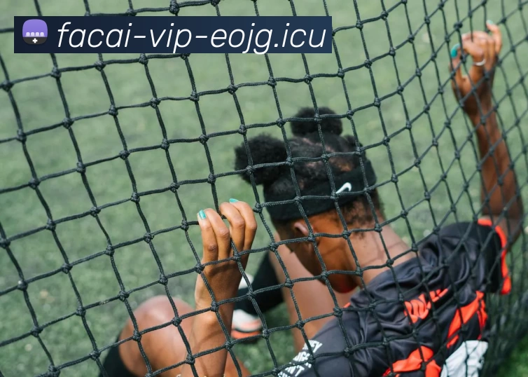 九游体育APP 封面图